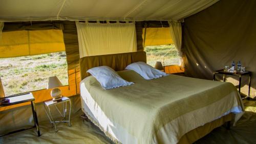 Serengeti Savannah Camps in Ngorongoro
