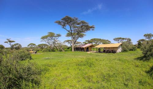 . Serengeti Savannah Camps
