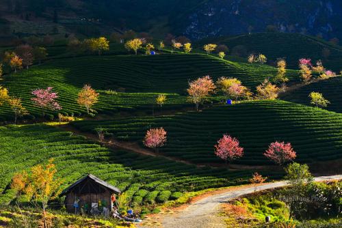  Sapa Dao Homestay