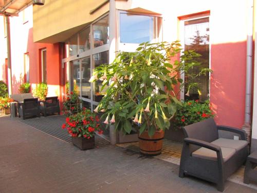 Зручності, Aviator Hotel Restauracja & SPA in Паб'яніце