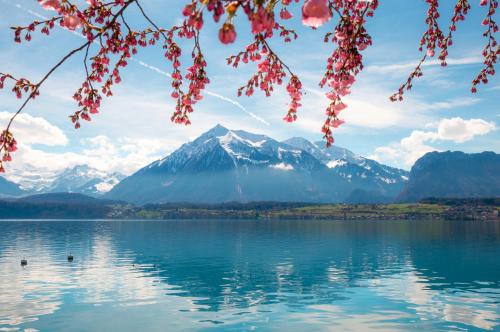230828223 BEATUS Wellness- & Spa-Hotel
