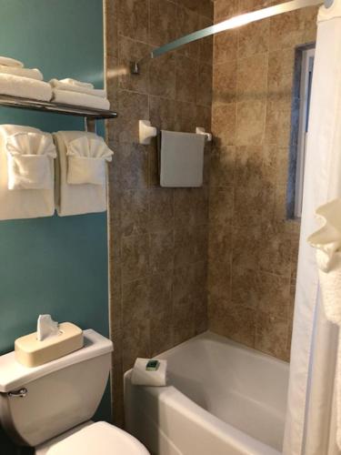 Palm Pavilion Inn – Clearwater Beach, FL