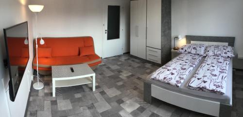 Apartmán pod Smrkem - Apartment - Nové Město pod Smrkem