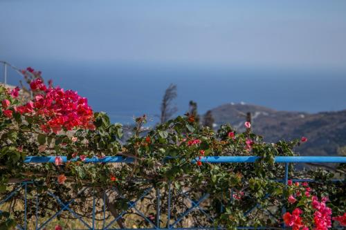  Aegean View Andros in Ándros