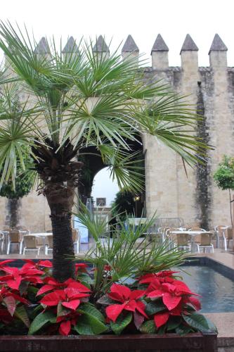 Loft Turístico en casco histórico, Wifi y TV satélite gratis, Córdoba (photo 2)