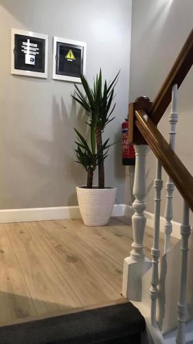  D.Cristina Guest House in Antwerpen