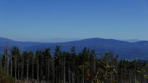 Apartament Marron - image 2