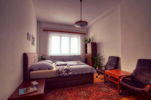 Apartment Anna Vysehrad, Praha (fotografie 4)