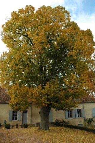 Le Manoir de Presle - Gîte