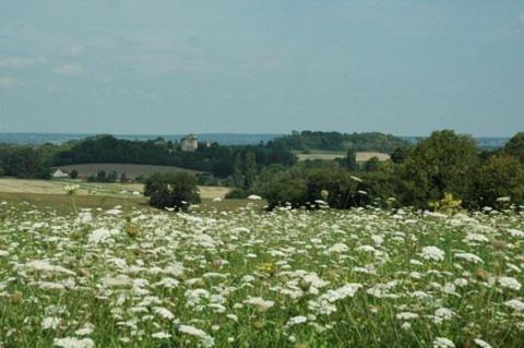 Le Manoir de Presle - Gîte