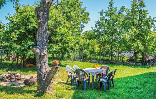  Nice apartment in Balatonakali w/ WiFi and 3 Bedrooms in Balatonakali