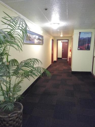 Econo Inn - image 8