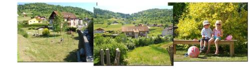 Résidence du Chajoux - Location saisonnière - La Bresse