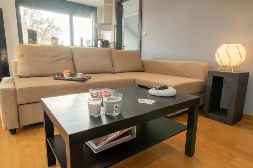 4 etoiles Prestige, climatise, espace, confort, neuf, calme, jardin, foret, Strasbourg Sud