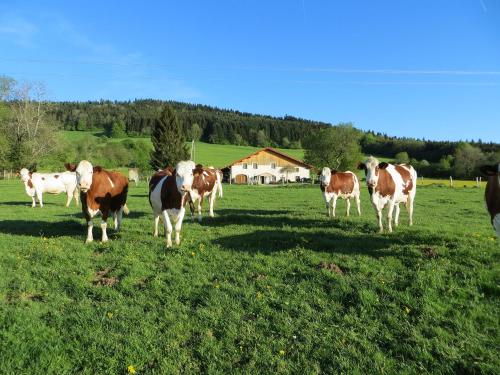 La ferme du bonheur - Accommodation - Pierrefontaine-les-Varans