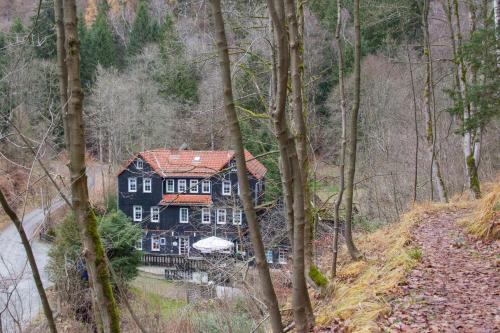 A szálláshely kívülről, Waldhaus Wolfsbachmühle (Waldhaus Wolfsbachmuhle) in Braunlage