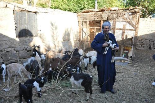 Nubian Farm Aswan Egypt