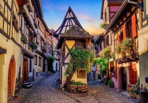La Houblonniere de COLMAR - Chambre amenagee