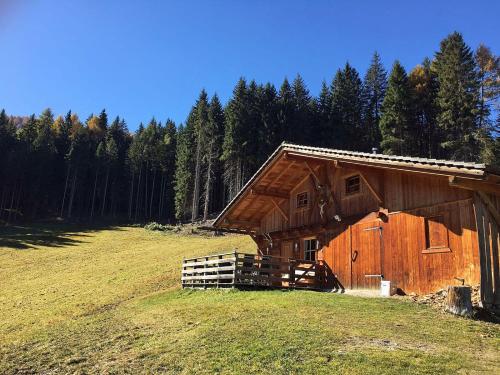 Almliesl WELS-424 - Chalet - Monguelfo