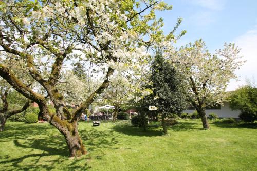 Bundt's Hotel & Gartenrestaurant - image 6