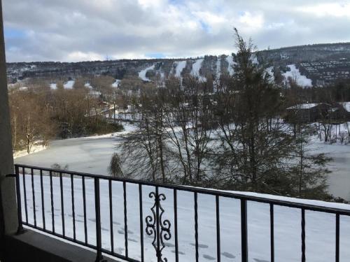 The Chateau Resort - Hotel - Tannersville