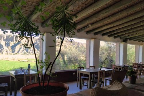 공용 라운지/TV 시청 구역, Sala de Payogasta in 카치