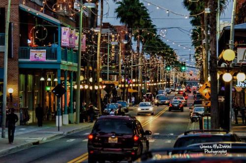 Florida at its finest! Tampa Bay hidden gem resort-style community! - image 2
