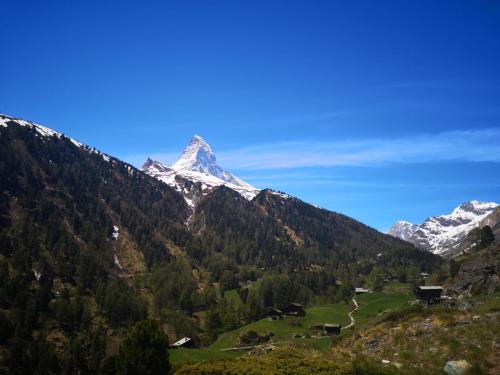 Kirchplatz Apartment Lupus & Cervus, Zermatt (fotografie 3)