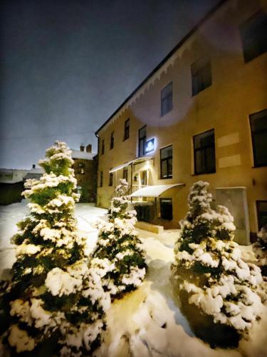 Apartamenti DVINSKA - image 8