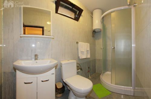 Pension Camelia - image 11