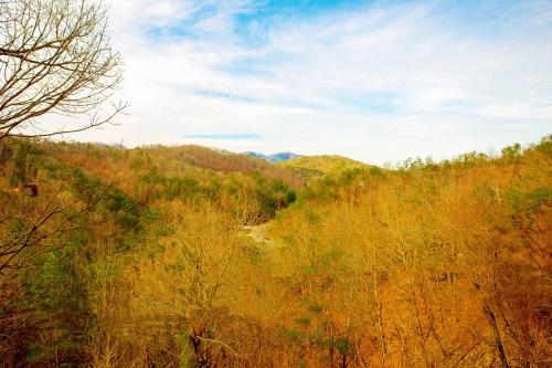 Serendipity – Pigeon Forge, TN