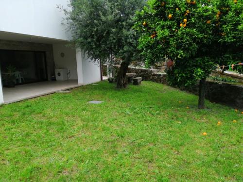 casa da adega gîte à louer Roucio
