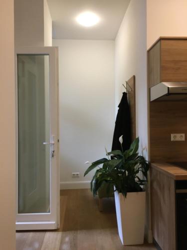 Perkeo Apartments - image 2