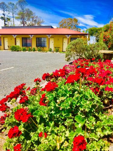 A szálláshely kívülről, Colonial Motor Inn Pambula in Pambula