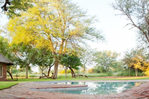 Belgium Safari Lodge