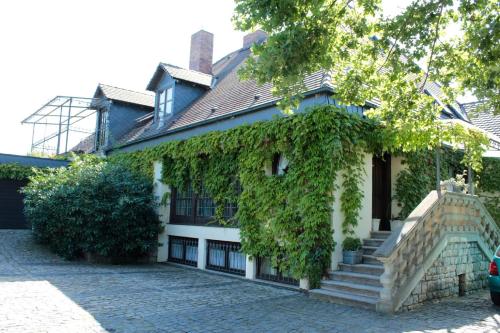Viesnīcas āriene, Landhaus Schmitt in Sommerach