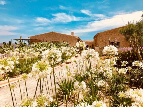 Finca Sestelrica - image 4