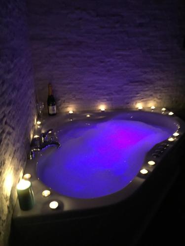 SPA Apartment Nalis