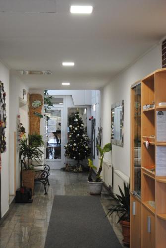 Hotel Fala - image 13