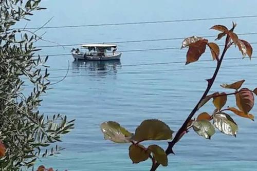  Ionian View Apartment 4 in Kornáta