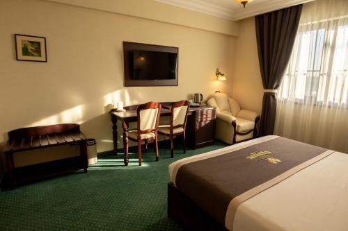 231208574 Magus Hotel