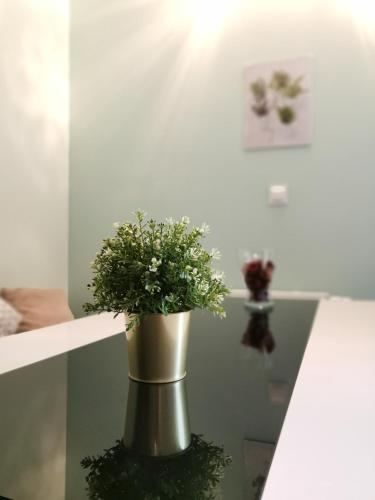 MAGLONIA APARTMENT, Wrocław (photo 7)