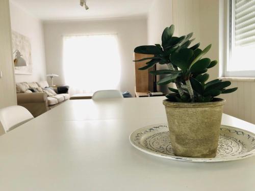 Apartamento espaçoso e confortável no centro do Montijo