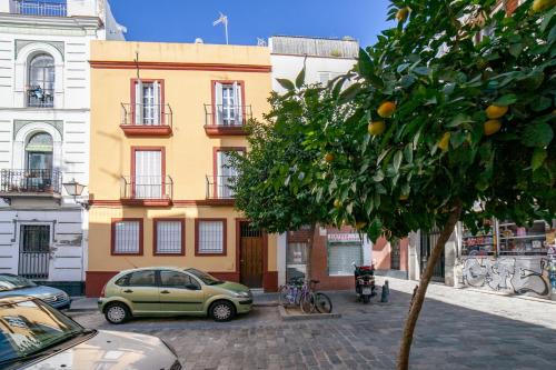 Alohamundi Cruz Verde, Sevilla (Foto 8)