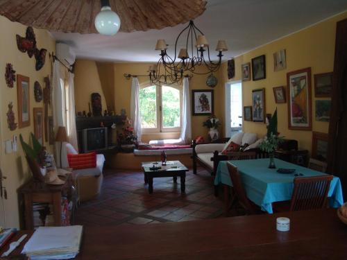 El Delfin - image 2