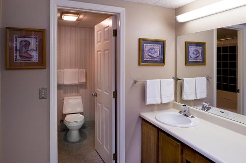 a bathroom with a toilet, sink and mirror, River Place Condos 602 2BD in Pigeon Forge (TN)