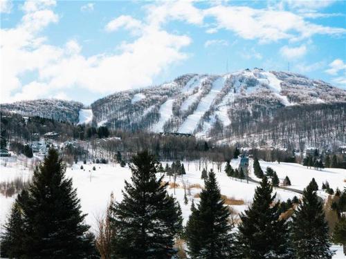 . Condo Ski Bromont - Splendid Mountain View! FREE SHUTTLE TO THE MOUNTAIN!