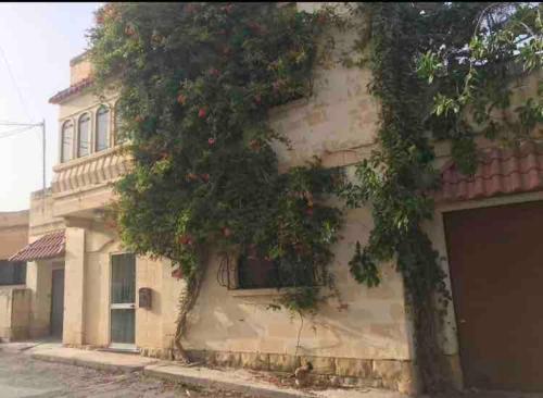 Casa Montegri 4