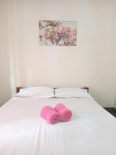 Walkerz Inn Room Type - Deluxe Double Room