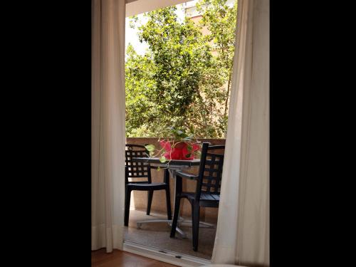 Instalaciones, Vernisa in Xativa